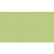 Grīdas segums TARKETT 200-ACCZENT EXC 70 RUBY NATURE Spring green