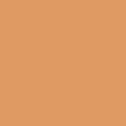 Flīzes RAKO COLOR 2 Light Orange