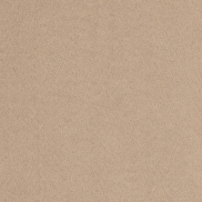 Tapetes PHILLIP JEFFRIES SUEDE LOUNGE IV Taupe Topaz