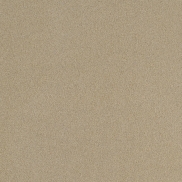 Tapetes PHILLIP JEFFRIES SUEDE LOUNGE IV Grain