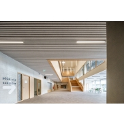 Piekaramie griesti HUNTER DOUGLAS HEARTFELT LINEAR 7596 Light Grey