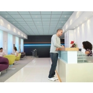 Piekaramie griesti ECOPHON FOCUS E T24 20mm 600x600 White Frost 7.2m2/iep.