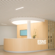 Piekaramie griesti HUNTER DOUGLAS HEARTFELT LINEAR 7593 White