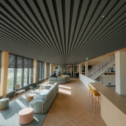 Piekaramie griesti HUNTER DOUGLAS HEARTFELT MULTIPANEL 30HL60mm Dark Grey 6x4000mm 20m/m2