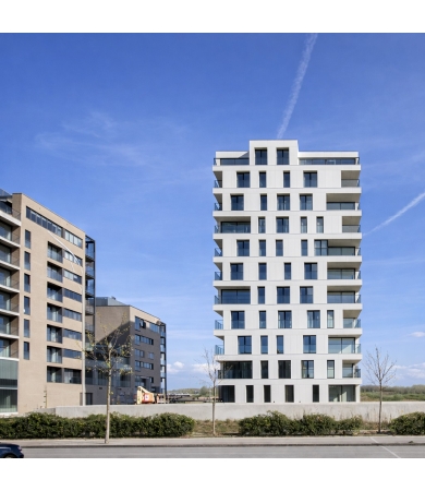 Šķiedrcementa plāksne ETERNIT TECTIVA TE90 8x1240x3070mm Snow White Nekaibrēta 3.721m2/gab.