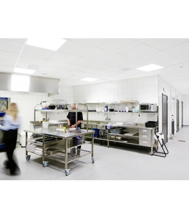 Piekaramie griesti ECOPHON HYGIENE PERFORMANCE A T24 20mm 600x1200 White 500