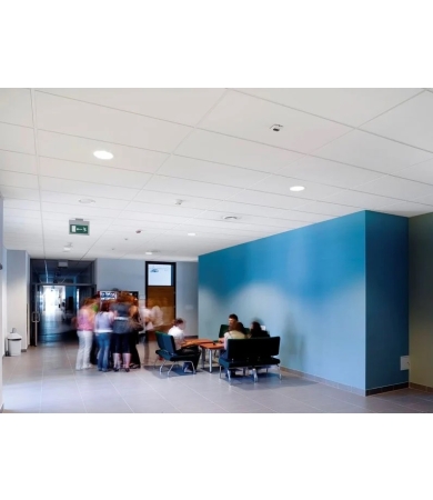 Piekaramie griesti ECOPHON MASTER E T24/TECH 40mm 600x600