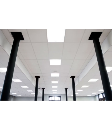 Piekaramie griesti  PASIFIC A