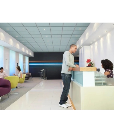 Piekaramie griesti ECOPHON FOCUS E T24 20mm 1200x600 White Frost 7.2m2/iep.