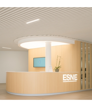 Piekaramie griesti HUNTER DOUGLAS HEARTFELT LINEAR 7593 White