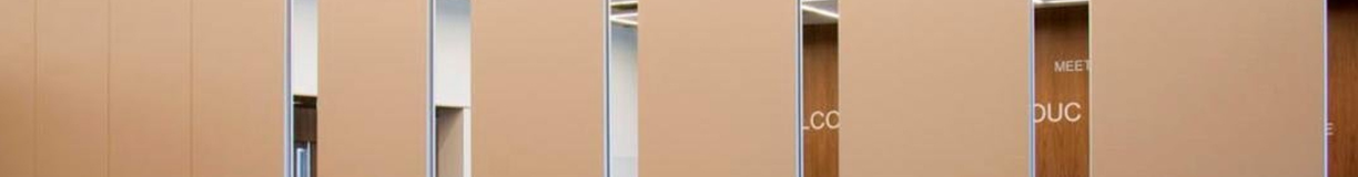 B&#x012B;d&#x0101;m&#x0101;s&#x20;akustisk&#x0101;s&#x20;starpsienas