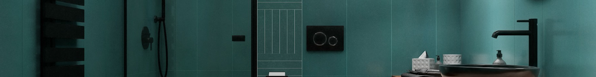 Du&#x0161;as&#x20;kab&#x012B;nes