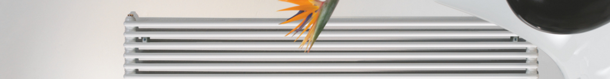 Dvie&#x013C;u&#x20;&#x017E;&#x0101;v&#x0113;t&#x0101;ji&#x20;un&#x20;radiatori