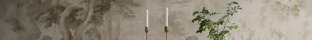 Pap&#x012B;ra&#x20;tapetes