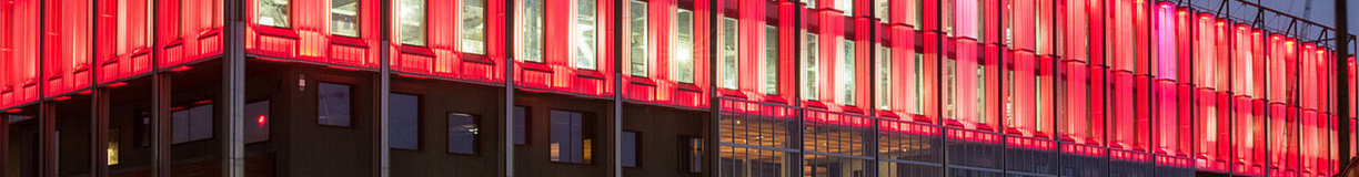 P&#x0101;r&#x0113;jie&#x20;risin&#x0101;jumi